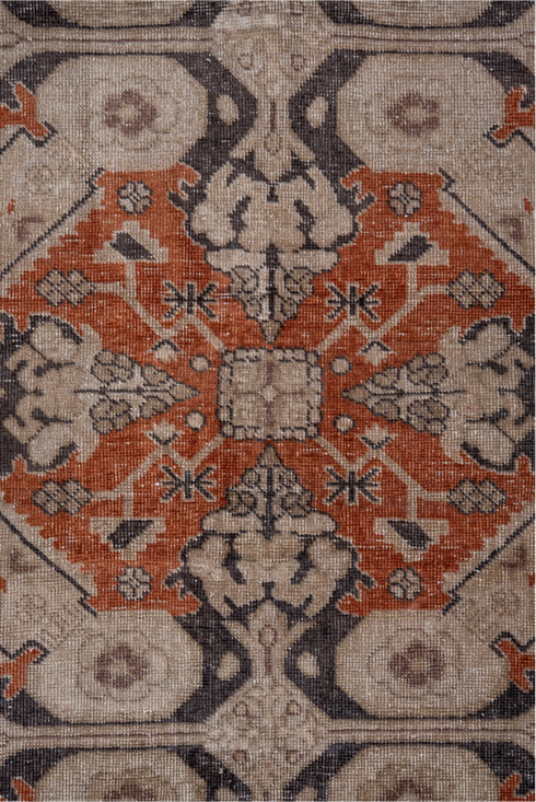 Vintage Irvan Area Rug (4' x 6')